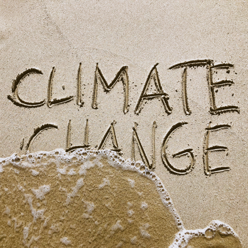 How Climate Change Slashes Florida Real Estate Market Values